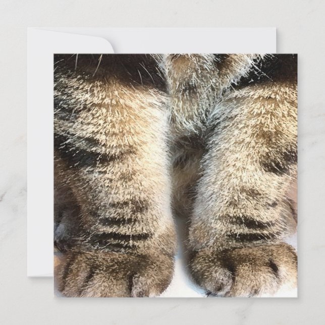 Tabby cat Flat Card, Tabby, Tabby Legs, (Devant)