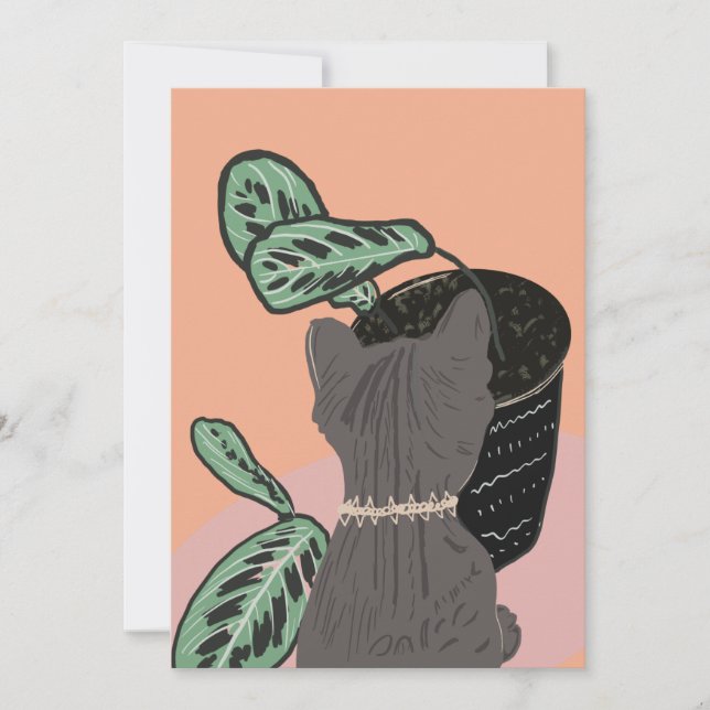 Tabby Cat Gris Merci Plante (Devant)