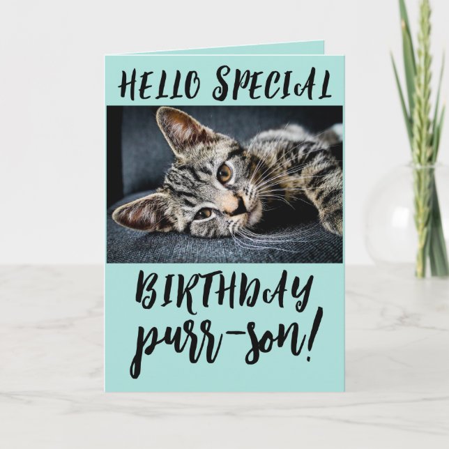 TABBY CAT KITTEN CARTES DE SALUT D'ANNIVERSAIRE (Devant)