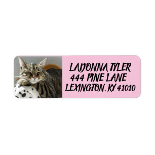 TABBY CAT SUR LES ÉTIQUETTES D'ADRESSE DE RETOUR D
