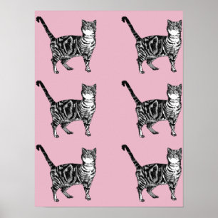 Tabby Chat Chat Tabby Tabby Pins Rose Cute Poster