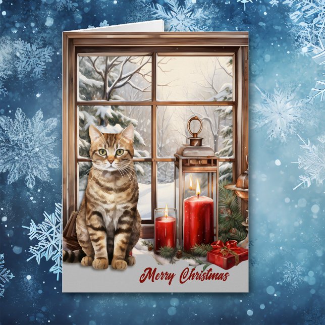 Tabby Chat et bougies dans la fenêtre d'hiver Noël (Créateur téléchargé)