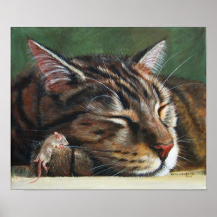 Tabby chat sommeil minuscule souris Poster