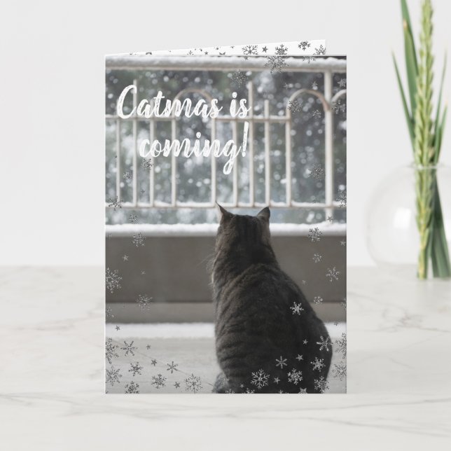 Tabby de Noël Cute Chat dans la carte de vacances  (Devant)