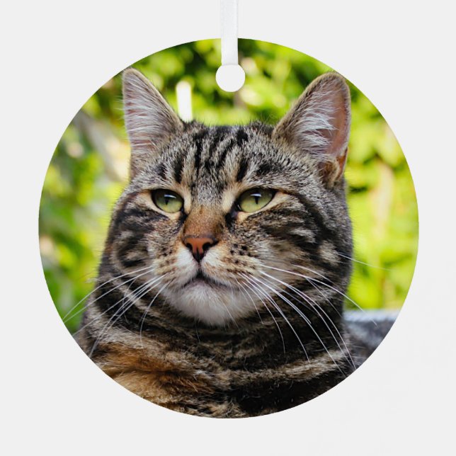 Tabby Gris Chat Métal Ornement (Verso)