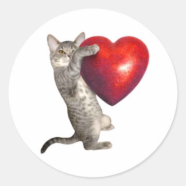 Tabby Kitten avec grand autocollant de coeur rouge (Devant)