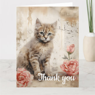 tabby kitten Merci 13