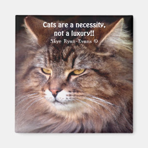 Tabby Maine Coon Amoureux des chats & Poem Magnet