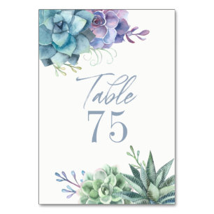 Table Aquarelle Cactus Succulents Numéro de tableau
