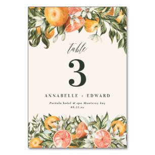 Table Citrus orange botanique moderne rustique numéro de
