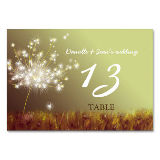 Table Numéro de tableau du Mariage Boho de la batterie