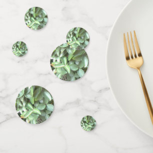 Table Photo Confetti