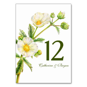 Table Rose rocher aquarelle fleurie mariage numéro de ta