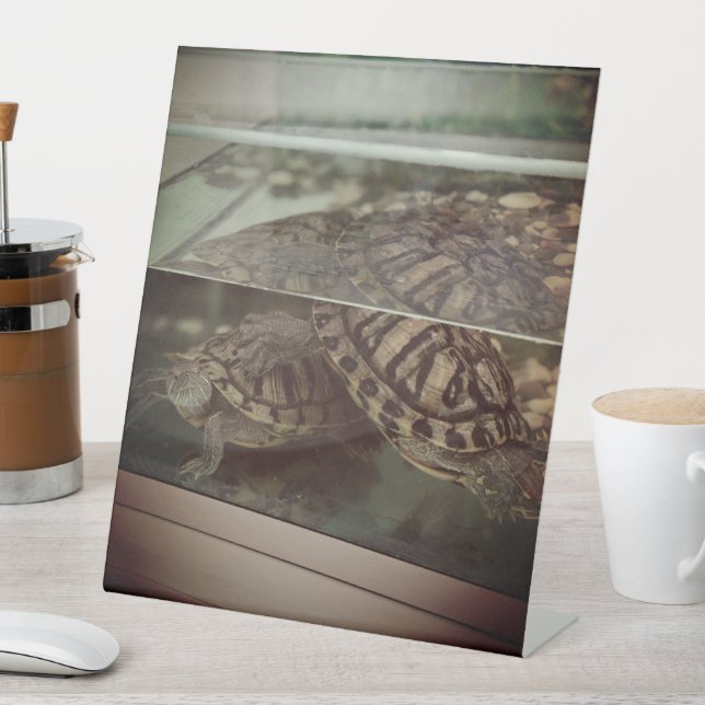 Table SIGNE PIÉTONNE DE LA Tortue Rustique (In SItu)
