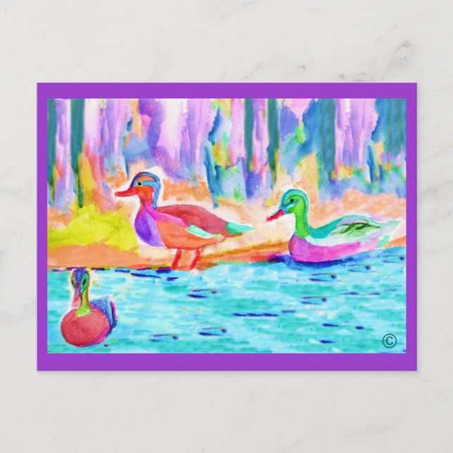 tableau de canard Cartes postales (Devant)