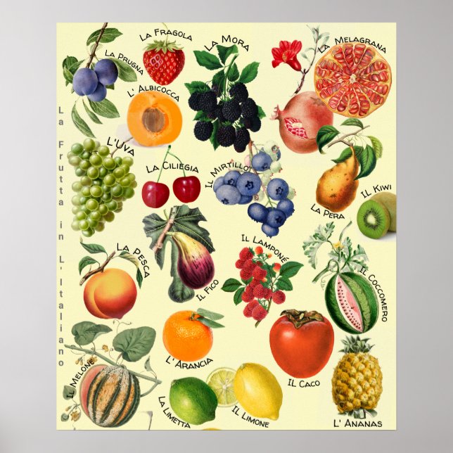 Tableau des fruits italiens en langue italienne  (Devant)