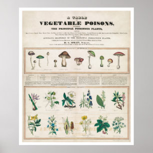 Tableau des poisons végétaux Vintages