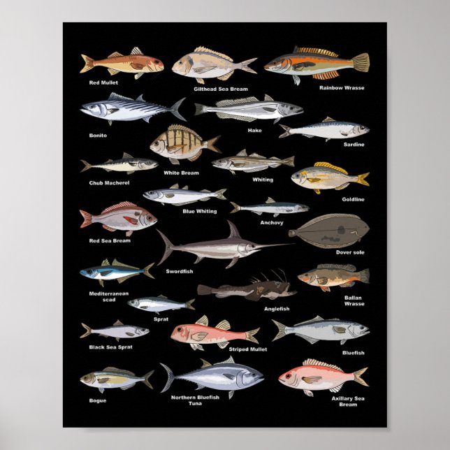 Tableau d'identification de poissons anciens Pêche (Devant)