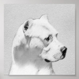 Tableau Dogo Argentino - Art Chien original