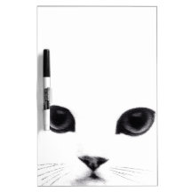 Visage blanc noir doux de chat