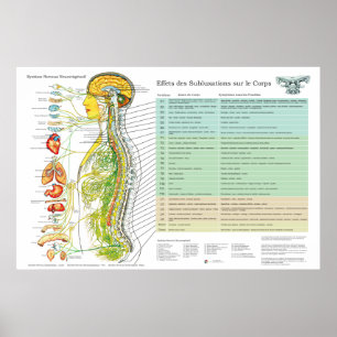 Tableau Français des Nerfs Spinaux de Subluxation
