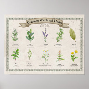 Tableau personnalisé d'herbes botaniques vintage