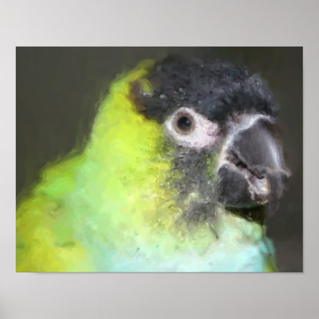 Tableau photo de Nanday Conure Parrot (Devant)