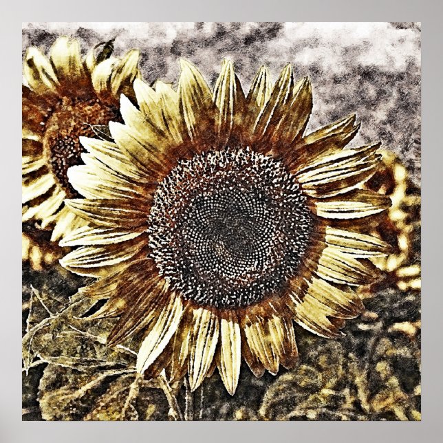 Tableaux vintages de tournesol #4 - Affiches (Devant)