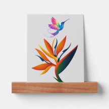 Beau oiseau de fleur de paradis