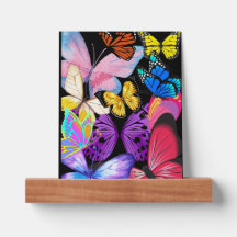 Beaux papillons colorés Picture Ledge