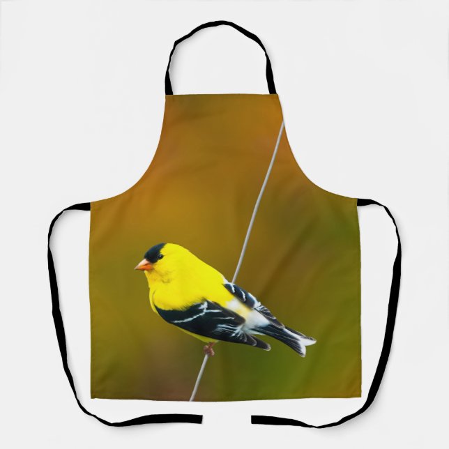 Tablier American Goldfinch - Photo originale (Recto)