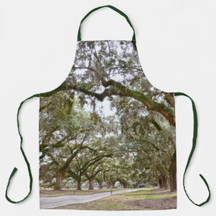 Tablier Avenue des Chênes, Caroline du Sud