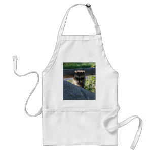 Tablier Baby Raccoon Rock Photo