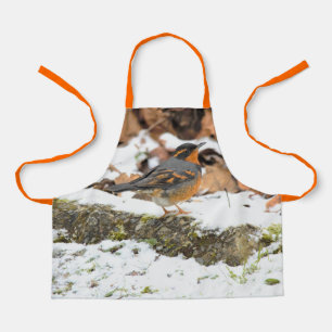 Tablier Belle Grive variée sur le terrain neigeux