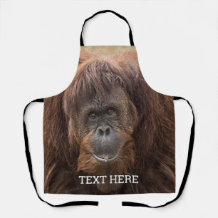 Tablier Belle photographie de Borneo Orangutan