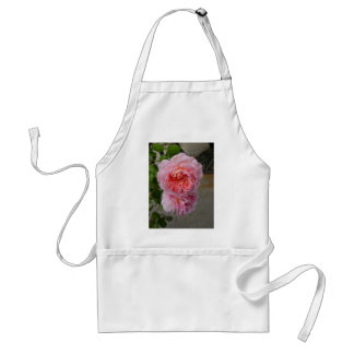 Tablier Belles Roses de Brantôme Apron