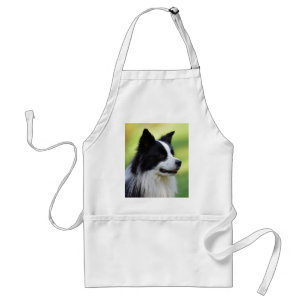 Tablier Black and White Border Collie Dog