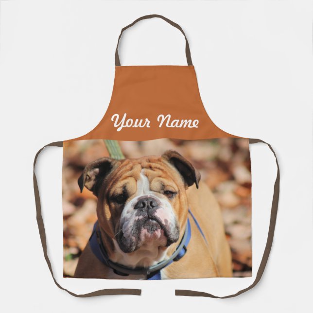 Tablier Buddy Bulldog (Recto)