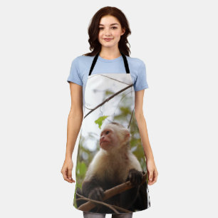 Tablier Capucin, singe du Costa Rica