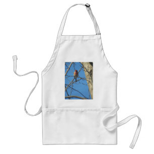 Tablier Cardinal Femme/Oiseau