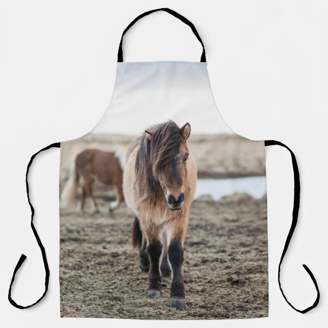 TABLIER CES CHEVAUX SONT TRÈS SUCRÉS ET INQUISITIFS (Recto)