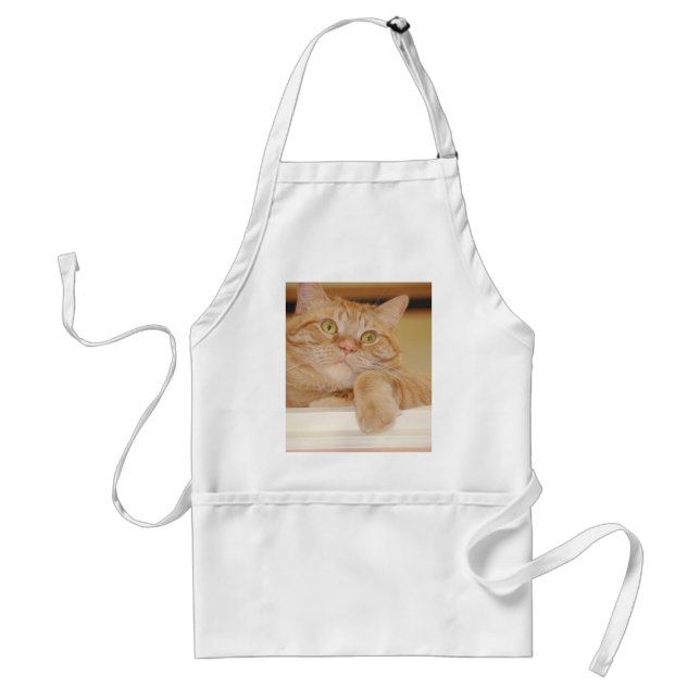 Tablier Chat Tabby Orange (Devant)