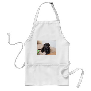 Tablier Chiot de récupération Black Labrador
