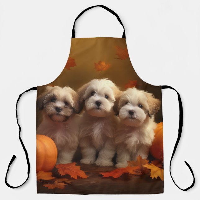 Tablier Chiot Havanais Délice d'Automne Citrouille (Recto)