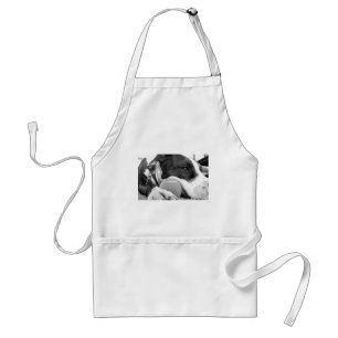 Tablier chiot pitbull mignon et triste de couleur noir et 