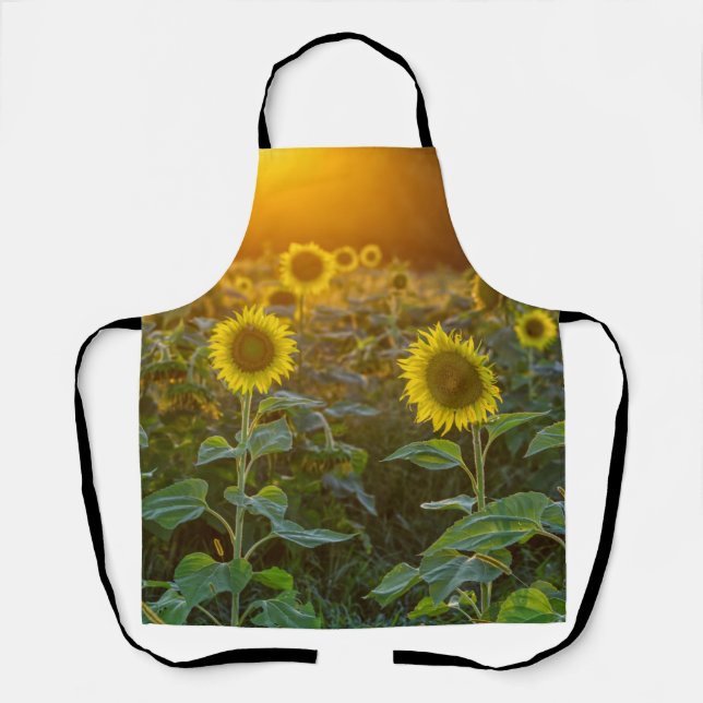 Tablier Coucher Du Soleil Sur Le Terrain De Tournesol (Recto)