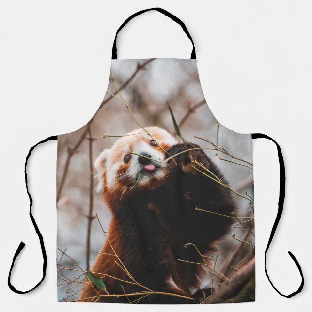 TABLIER CUTE KOALA BEAR (Recto)