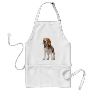 Tablier de beagle