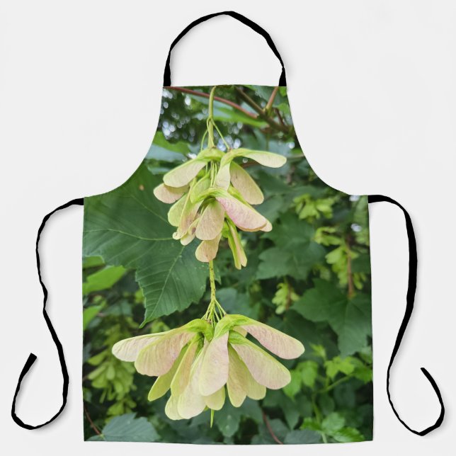 Tablier de graines d'érable vertes de la nature (Recto)
