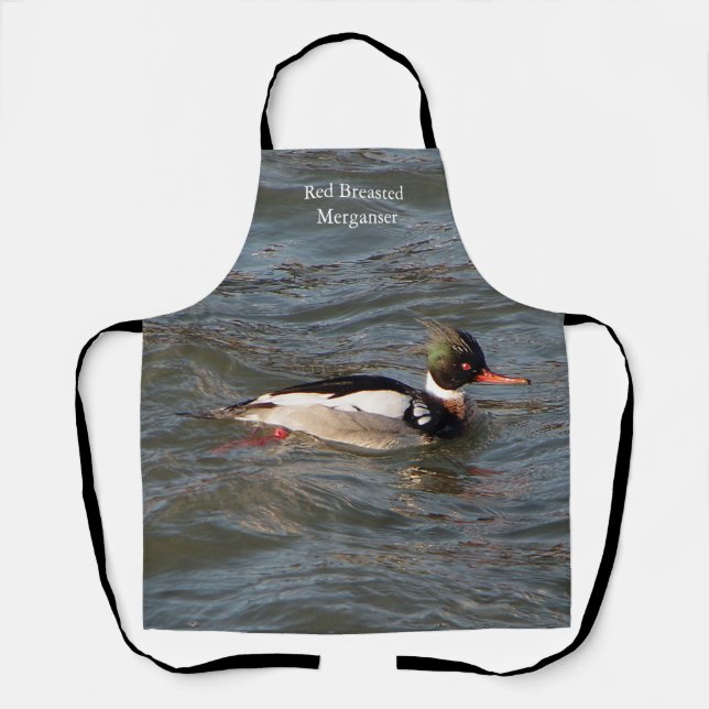 Tablier de Merganser à poitrine rouge (Recto)